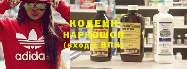 спиды Гусев