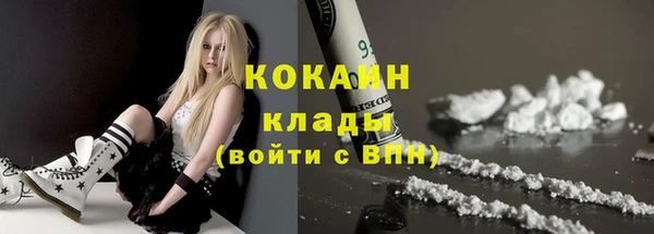 спиды Гусев