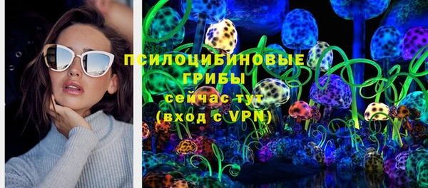 ПСИЛОЦИБИНОВЫЕ ГРИБЫ Гусиноозёрск