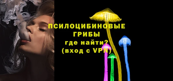 ПСИЛОЦИБИНОВЫЕ ГРИБЫ Гусиноозёрск