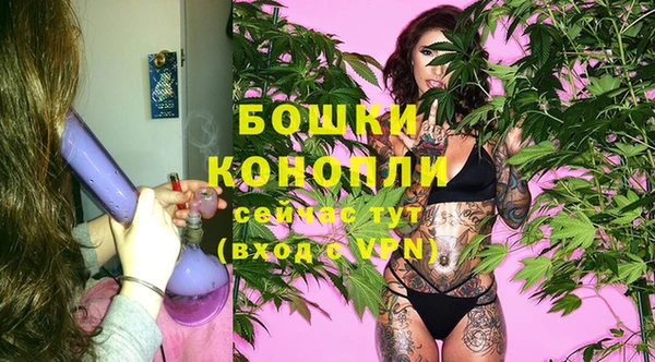 спиды Гусев