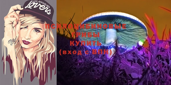 Альфа ПВП Ельня