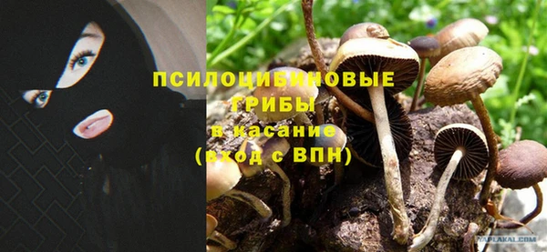 Альфа ПВП Ельня