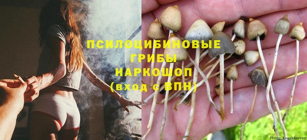ПСИЛОЦИБИНОВЫЕ ГРИБЫ Гусиноозёрск