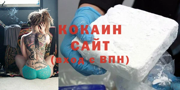 спиды Гусев